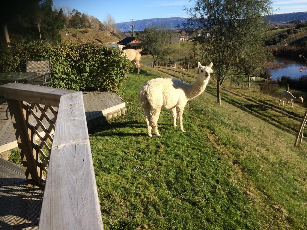 Hunters Moon Villa Mosgiel Luaran gambar