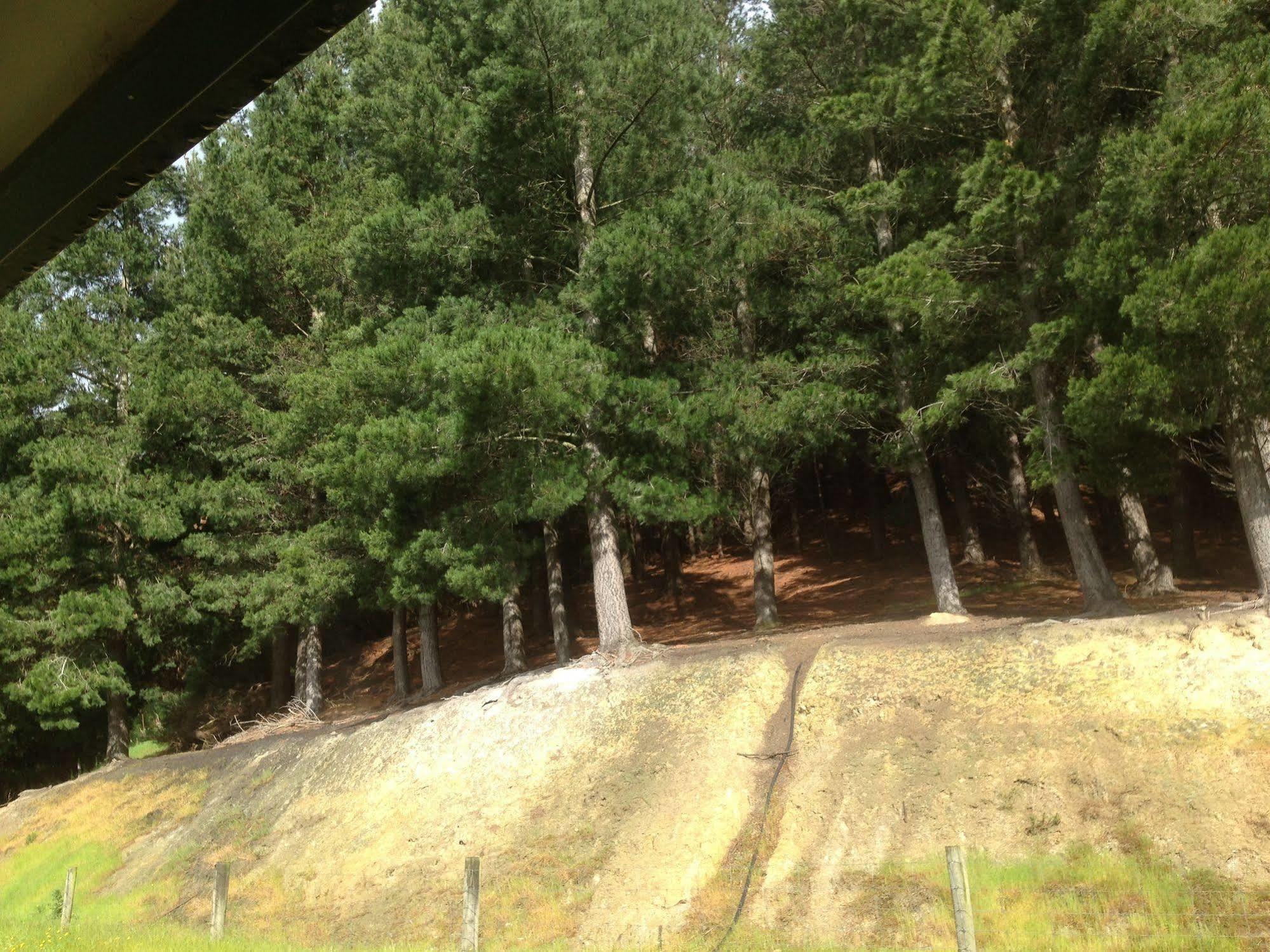 Hunters Moon Villa Mosgiel Luaran gambar