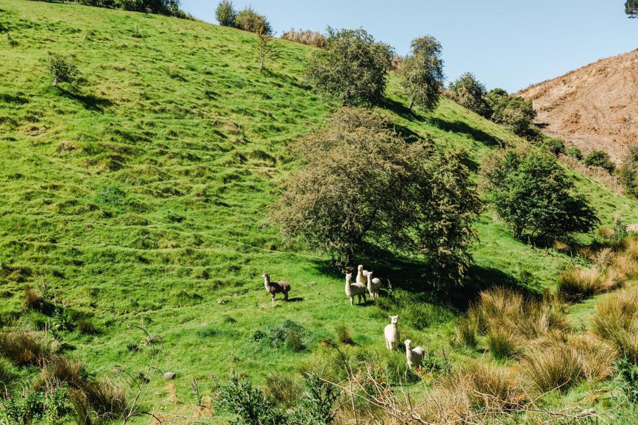 Hunters Moon Villa Mosgiel Luaran gambar